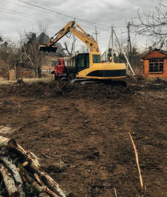 Excavator uprooting trees on land in countryside. Bulldozer clearing land from old trees, roots and branches with dirt and trash. Backhoe machinery. Yard work