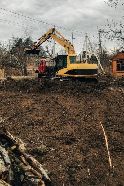 Excavator uprooting trees on land in countryside. Bulldozer clearing land from old trees, roots and branches with dirt and trash. Backhoe machinery. Yard work